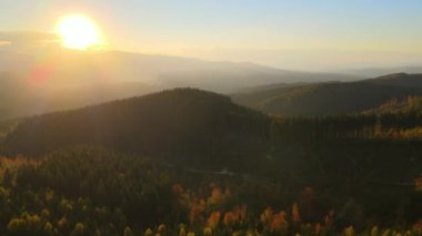 View from above of ukrainian Carpathian mountains with wooded hills at autumnal sunset. Brightly illuminated with setting sun pine woods in fall season.