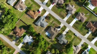 Florida 'nın sakin kırsal kesimindeki yeşil palmiye ağaçları arasındaki banliyö özel evlerinin hava manzarası.