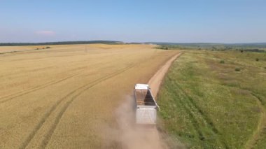 Tarımsal buğday tarlaları arasında toprak yolda giden kamyon görüntüsü. Hasat mevsiminde hasatçıların topladığı tahıl naklinden sonra..