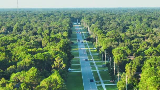 小镇上开着汽车的街道交通的空中景观 佛罗里达宁静住宅区的美国郊区景观 在绿色棕榈树之间有私人住宅 — 图库视频影像