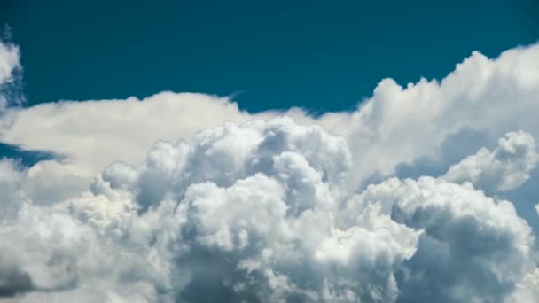 Timelapse Nuvole Cumulus Gonfie Bianche Che Formano Sul Cielo Blu — Video Stock