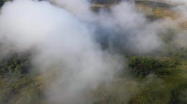 Aerial view from above of morning fog over green wooded landscape. High humidity causing air condensing in mist over land.