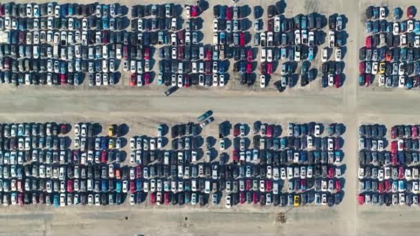 Widok Lotu Ptaka Firmy Aukcyjnej Duży Parking Zaparkowanymi Samochodami Gotowymi — Wideo stockowe