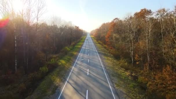 Luchtfoto Van Intercity Weg Met Snel Rijdende Auto Tussen Herfst — Stockvideo