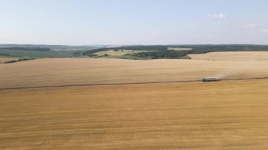Tarımsal buğday tarlaları arasında toprak yolda giden kamyon görüntüsü. Hasat mevsiminde hasatçıların topladığı tahıl naklinden sonra..