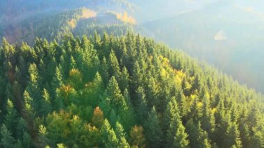 Güzel bir akşam panoramik manzarası. Gün batımında uzak dağ tepeleri üzerinde parlak batan güneş..