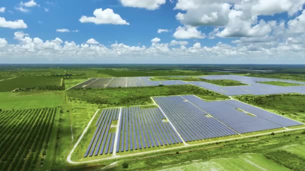 Temiz Elektrik Enerjisi Üretmek Için Fotovoltaik Panelleri Olan Tarımsal Tarım — Stok video