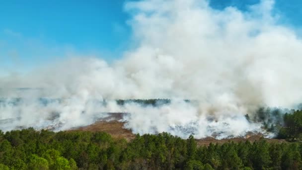 从空中俯瞰森林大火中升起的白烟污染了大气 自然灾害概念 — 图库视频影像