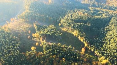 Top view of dark mountain hills covered with bare patches of cut down forest pine trees as result of deforestation process. Beautiful wild woodland at threat.