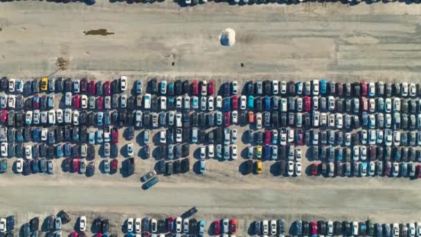 Digunakan Mobil Rusak Pada Perusahaan Penjual Lelang Tempat Parkir Besar — Stok Video