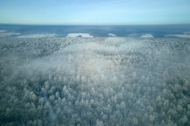 Soğuk kış mevsiminde donmuş ağaçlarla kaplı beyaz ormanın havadan görünüşü. Kışın sık ve vahşi bir orman..