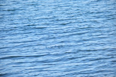 Küçük dalgalı mavi deniz suyunun yakın deniz yüzeyi.