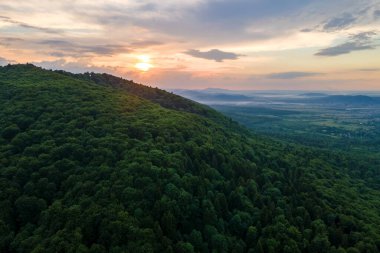 Gün batımında dağ tepelerini kaplayan koyu ladin ağaçlı yeşil çam ormanlarının hava manzarası. Yukarıdan orman manzarası yok.