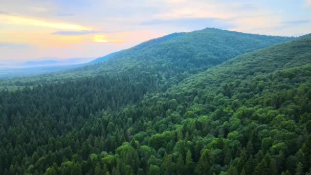 日落时分 空中俯瞰着绿松林 山上覆盖着黑云杉树 从上方俯瞰的森林景观 — 图库视频影像