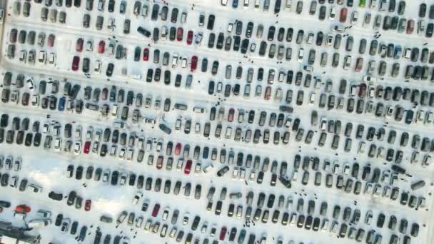 Açık Pazar Alanının Hava Manzarası Satılık Birçok Araba Park Edilmiş — Stok video