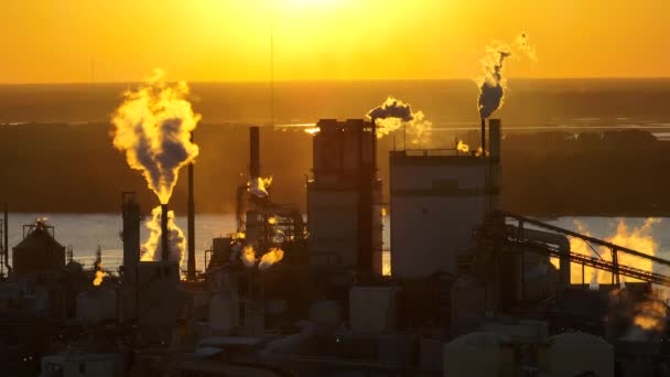 Ahşap Işleme Fabrikasının Hava Görüntüsü Fabrika Üretim Alanındaki Atmosferi Kirleten — Stok video