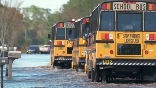 Hurricane Ian Flooded Street Moving Evacuation School Buses Surrounded Water — Stock video