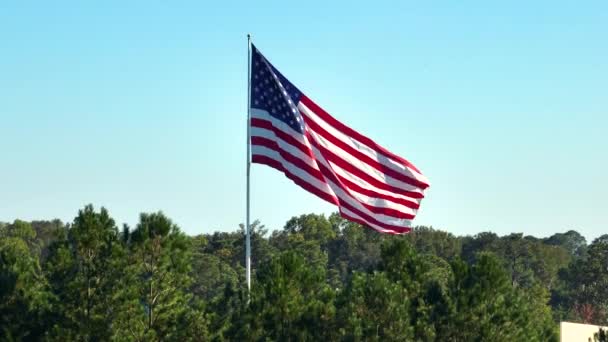 Bandera Nacional Ondeando Viento Contra Cielo Azul Estrellas Rayas Americanas — Vídeos de Stock