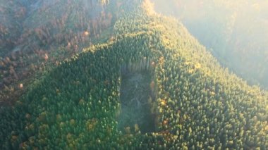 Aerial view of colorful evening over dark deforestated woods with cut down mountain forest trees at fall sunset. Beautiful scenery of wild woodland at risk of human destruction.
