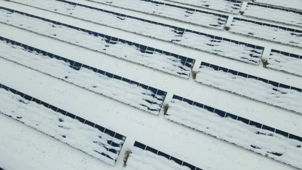 Aerial View Sustainable Electrical Power Plant Solar Photovoltaic Panels Covered — Vídeos de Stock