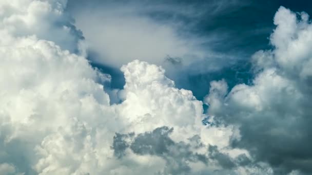 Timelapse Nuvens Cumulus Inchadas Brancas Formando Céu Azul Verão Mudando — Vídeo de Stock