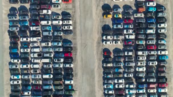 Pohled Shora Velké Parkoviště Zaparkovanými Ojetými Auty Nehodě Připraven Prodeji — Stock video