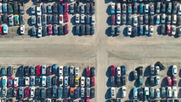 拍卖经销商公司大停车场的空中景观 停放的汽车随时可供再营销服务 二手车的销售 — 图库视频影像