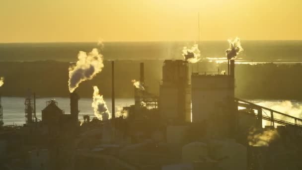 Flygfoto Träbearbetningsfabrik Med Rök Från Produktionsprocessen Förorenande Atmosfär Anläggningen Tillverkning — Stockvideo