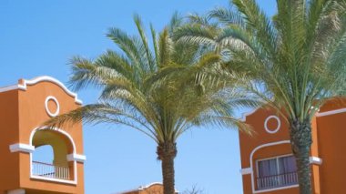 Yeşil hindistan cevizi palmiyeleri rüzgarda sallanıyor tropikal sahilde mavi gökyüzüne ve otel binalarına karşı. Yaz tatili kavramı.