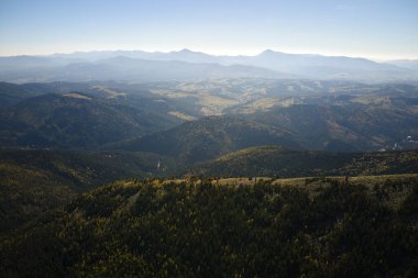 Yaban dağlarında koyu çam ağaçları olan yüksek tepelerin havadan manzarası.