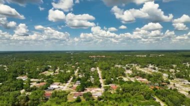 Florida 'nın sakin yerleşim bölgesinde palmiye ağaçları arasında özel evleri olan yeşil, küçük bir kasaba olan Amerika banliyö manzarası..