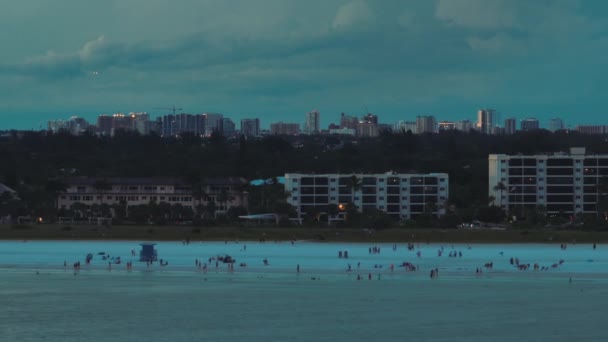 Point Vue Angle Élevé Plage Siesta Key Dans Ville Sarasota — Video