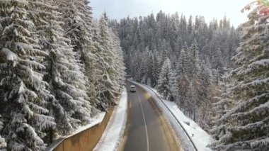 Kış manzaralı, karla kaplı dağ ormanları ve kaygan ormanlar..