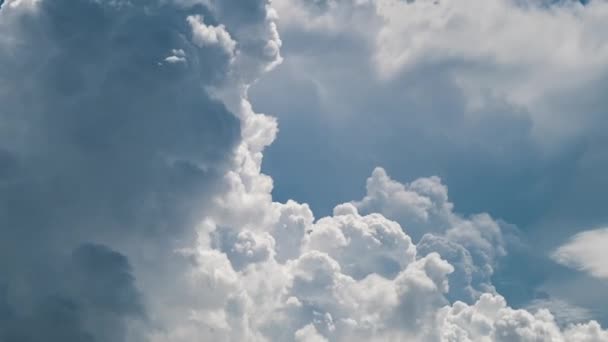 夏の青空に雷雨の前に形成される白いふわふわ積乱雲の時間経過 雲の中の天気の移動と変化 — ストック動画