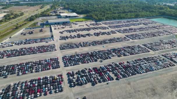 Używane Uszkodzone Samochody Aukcji Odsprzedawca Firma Duży Parking Gotowy Odsprzedaży — Wideo stockowe