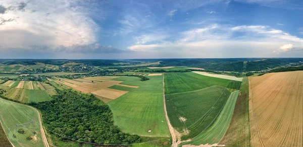 Veduta Aerea Del Paesaggio Dei Campi Agricoli Coltivati Verdi Gialli — Foto Stock
