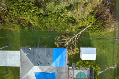 Hurricane Ian damaged house rooftop covered with protective plastic tarp against rain water leaking until replacement of asphalt shingles. Aftermath of natural disaster. clipart