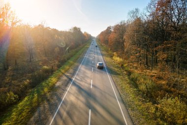 Günbatımında güz ormanı ağaçları arasında hızlı giden arabalarla şehirlerarası yol manzarası. Akşamları otoban trafiğinin insansız hava aracı görüntüsü.