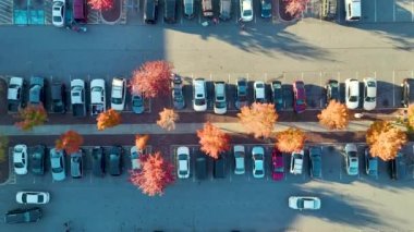 Aerial view of many colorful cars parked on parking lot with lines and markings for parking places and directions. Place for vehicles in front of a strip mall plaza.