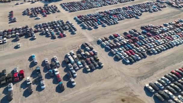Gebrauchte Beschädigte Autos Auf Auktion Reseller Firma Großen Parkplatz Bereit — Stockvideo