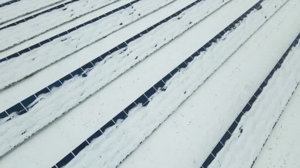Aerial View Sustainable Electrical Power Plant Solar Photovoltaic Panels Covered — Vídeo de Stock