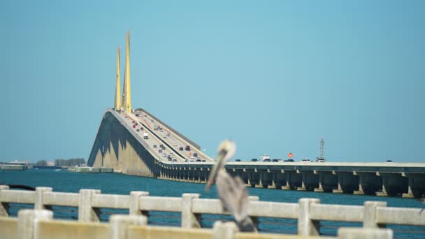 Sunshine Skyway Bridge Dessus Tampa Bay Floride Avec Trafic Mouvement — Video