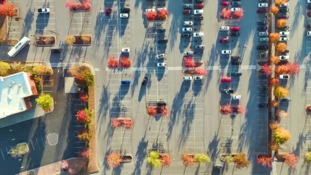 Vista Superior Muchos Coches Estacionados Estacionamiento Frente Una Plaza Centro — Vídeos de Stock