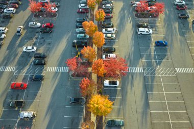 Aerial view of many colorful cars parked on parking lot with lines and markings for parking places and directions. Place for vehicles in front of a strip mall plaza.