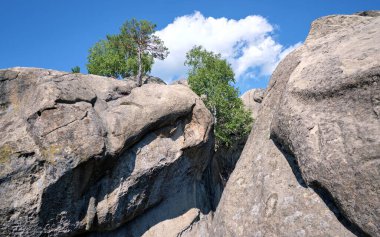 Yazın güneşli bir günde büyüyen ağaçlarla yüksek dağlarda devasa kaya oluşumları..