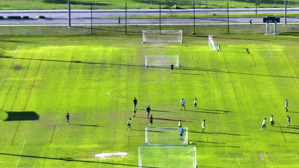 年轻的业余运动员在草地上踢足球的空中画面覆盖了整个体育场 积极生活方式的概念 — 图库视频影像