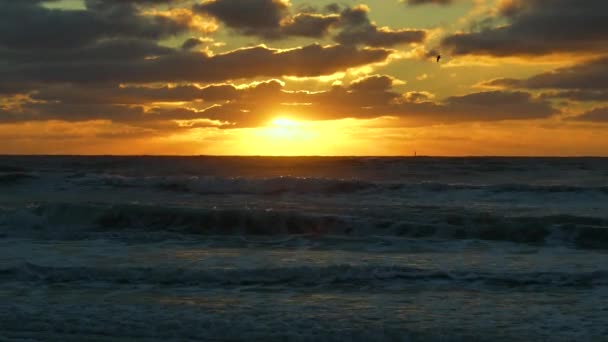 Ocean Sunset Landscape Soft Evening Sea Water Waves Crushing Sandy — Stockvideo