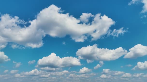 Blanco Hinchado Cumulus Nubes Verano Azul Cielo — Vídeos de Stock
