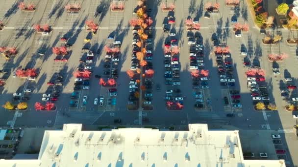 Aerial View Many Colorful Cars Parked Parking Lot Lines Markings — Stockvideo