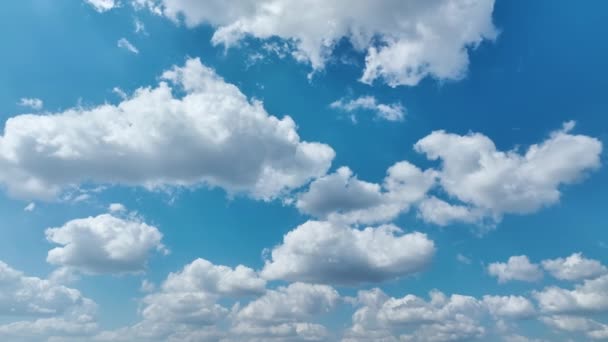 Nubes Cúmulos Hinchados Blancos Cielo Azul Verano Panorámica Del Clima — Vídeos de Stock